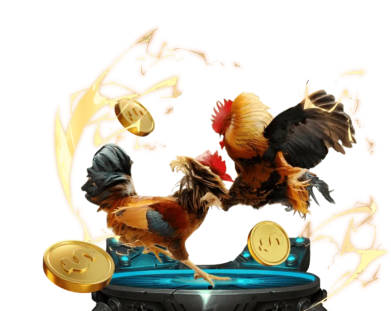 Hình ảnh minh họa các quy tắc chung khi chơi tại sòng bạc online